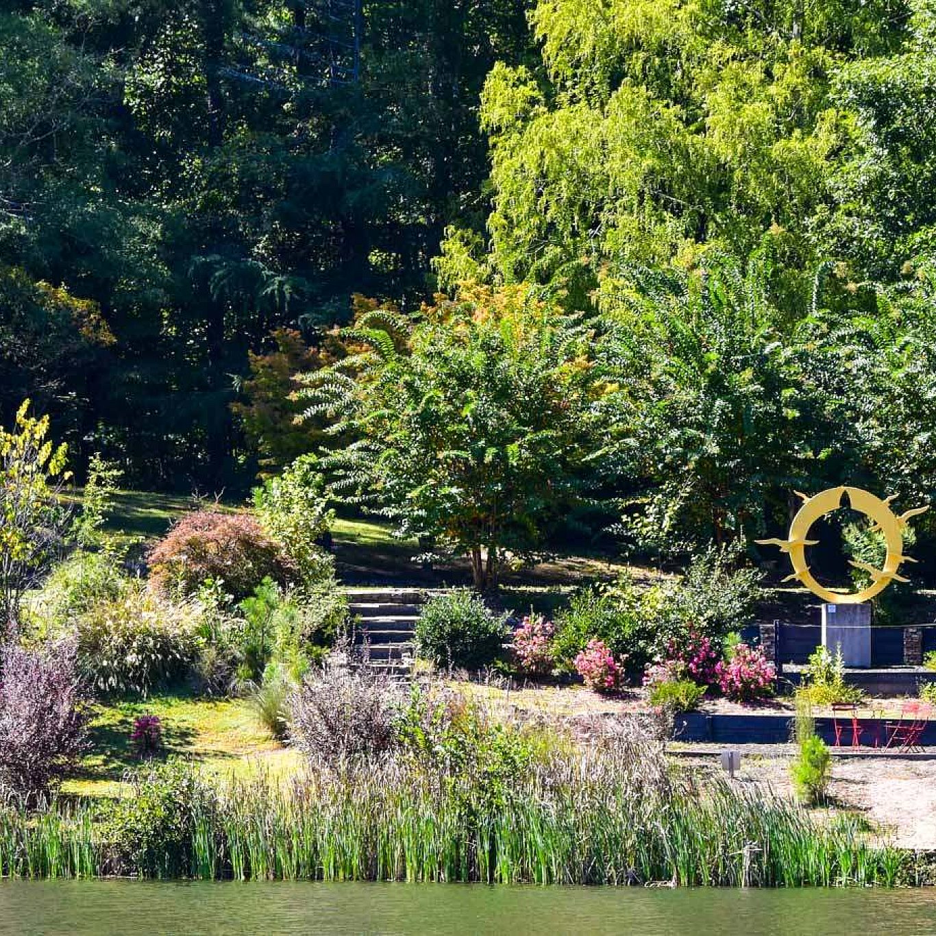 Maven Neighborhood 31