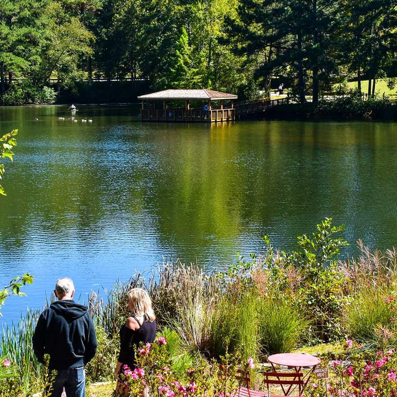 Maven Neighborhood 32