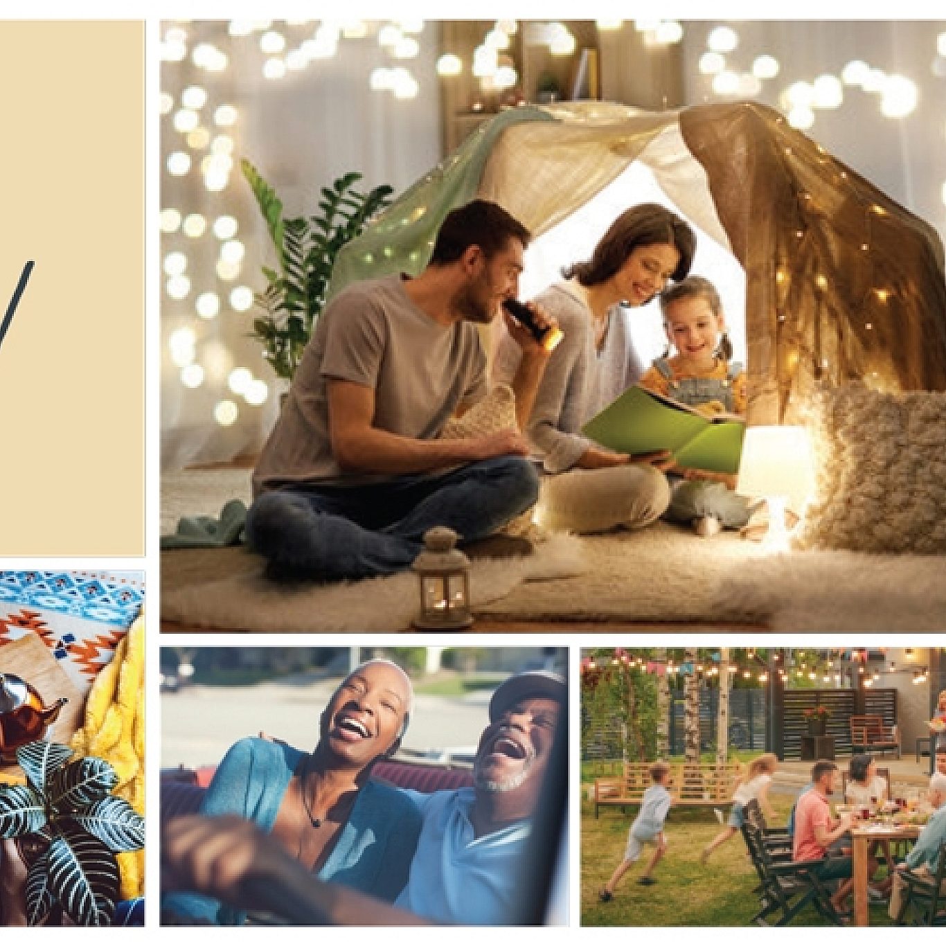 Willow Logo Moodboard Options v3 2